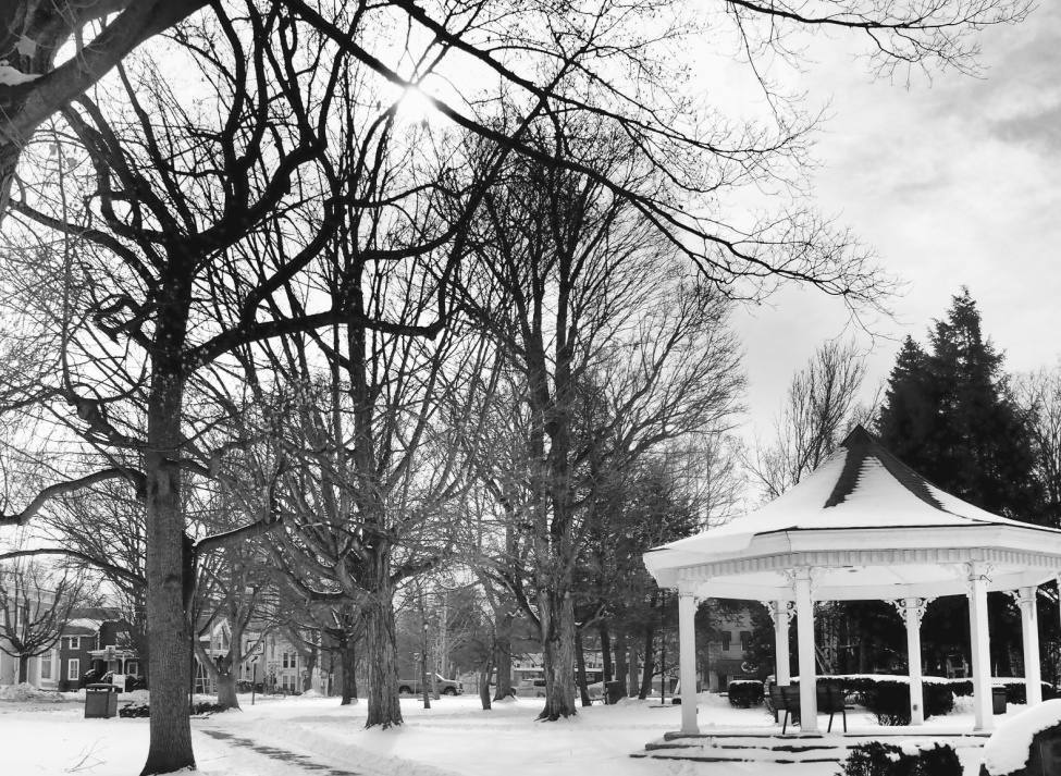 Clinton, NY